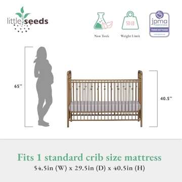 Little Seeds Monarch Hill Ivy Metal Crib, Gold