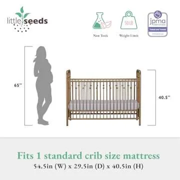 Stylish Little Seeds Ivy Metal Crib in Gold for Babies