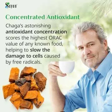 Sayan Siberian Chaga Mushroom Tea 1.05 Oz / 30g – 20 Unbleached Bags, Wild Harvested Organic Antioxidant No Caffeine. Raw and Extract Blend. Immune, Digestion Support. Detox, Focus Energy Boost