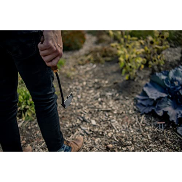 Barebones Japanese Weeding Hoe for Effective Weeding and Digging