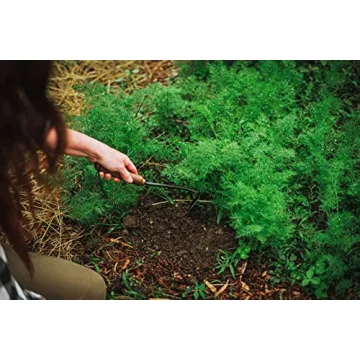 Barebones Japanese Weeding Hoe for Effective Weeding and Digging