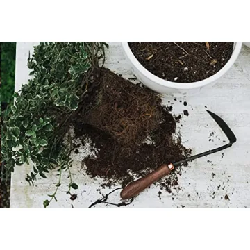 Barebones Japanese Weeding Hoe for Effective Weeding and Digging