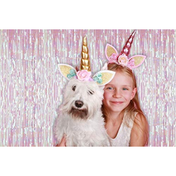 Metallic Rainbow Foil Curtains for Birthday and Bachelorette Parties