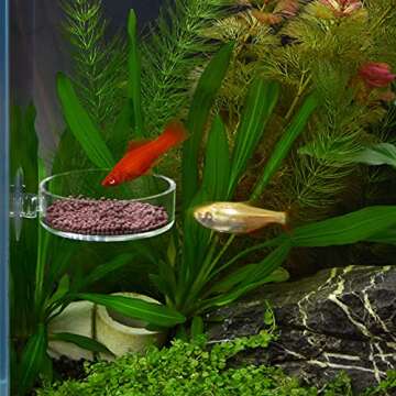 Dannisly Aquarium Shrimp Feeder Dish Round Fish Tank Feeder Bowls Clear Aquarium Feeding Cup with Su...
