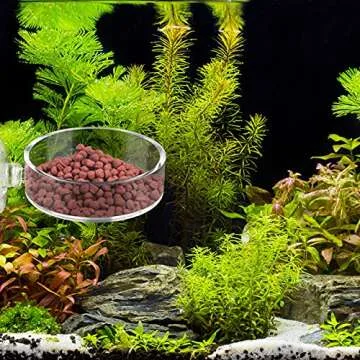 Dannisly Aquarium Shrimp Feeder Dish Round Fish Tank Feeder Bowls Clear Aquarium Feeding Cup with Suction Cup