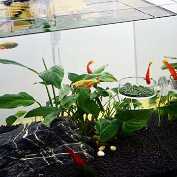 Dannisly Aquarium Shrimp Feeder Dish Round Fish Tank Feeder Bowls Clear Aquarium Feeding Cup with Suction Cup