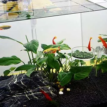 Dannisly Aquarium Shrimp Feeder Dish Round Fish Tank Feeder Bowls Clear Aquarium Feeding Cup with Suction Cup