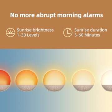 Sunrise Alarm Clock White Noise Machine: Natural Wake Up Light - Dimmable Clock with Bluetooth Speak...