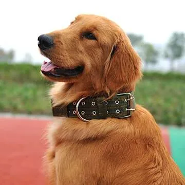 Adjustable Heavy Duty Dog Collar for All Breeds
