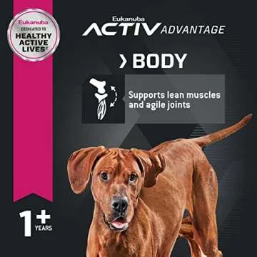 Eukanuba Large Breed Dog Food with Lamb for Active Dogs