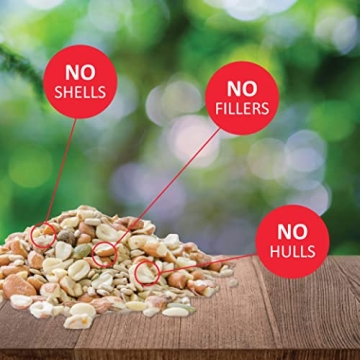 No Waste Wild Bird Seed Attracts Buntings Chickadees Finches
