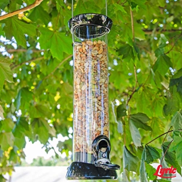 No Waste Wild Bird Seed Attracts Buntings Chickadees Finches