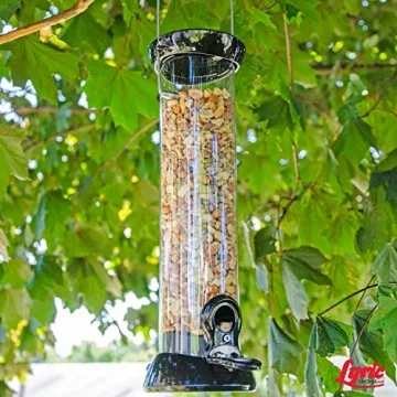 No Waste Wild Bird Seed Attracts Buntings Chickadees Finches