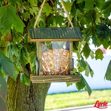 No Waste Wild Bird Seed Attracts Buntings Chickadees Finches
