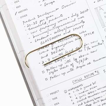 Poketo Large Brass Paper Clips, Set of 2