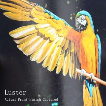 Koala Premium Photo Paper 8.5 x 11 In Luster Photo Printer Paper for Inkjet Printer Water-Resistant Soft Gloss 66lb 50 Sheets