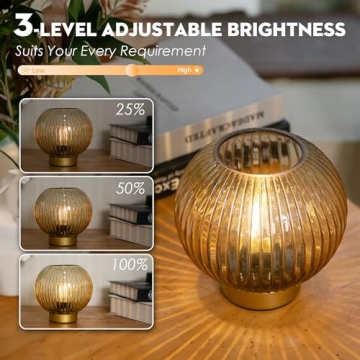 Stylish Battery Operated Lamp with Remote Control