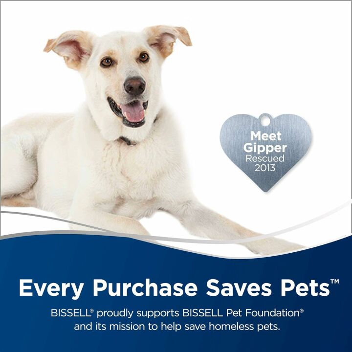 BISSELL Zing Lightweight Canister Vacuum 2156A