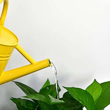 SunnyTong Metal Watering Can for Outdoor and Indoor Plants, Watering Can Decor, 1 Gallon (Yellow)