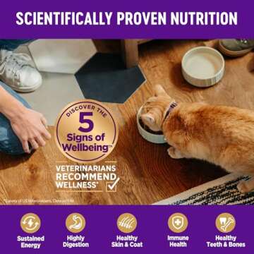 Wellness Natural Pet Food Complete Health Natural Grain Free Deboned Chicken & Chicken Meal Dry Kitten Food, 5.5 Pound Bag