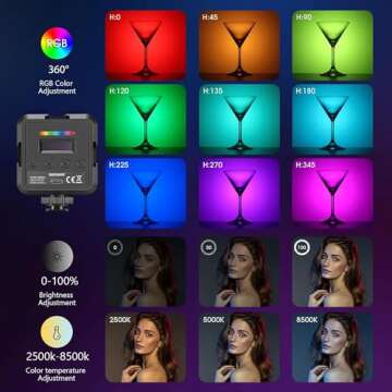 NEEWER RGB LED Video Light, RGB 360 Camera Light with 3 Cold Shoe and Diffuser, CRI 97+, 20 Scene Modes, 2500K~8500K, Rechargeable Battery 2000mAh