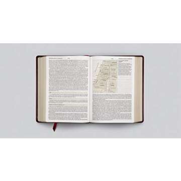 ESV Study Bible, Large Print (TruTone, Mahogany, Trellis Design)