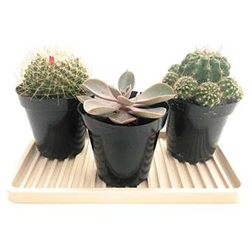 Happitasa Silicone Kitchen Sink Organizer Tray, Sponge Holder and Countertop Protector | Bathroom and Kitchen Soap Dish and Dispenser Tray (Sand Dollar, 10"x5.25")