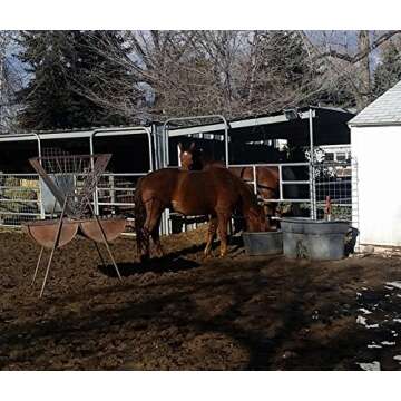 REDMOND Rein Water for Horses This Quencher 2oz Pack