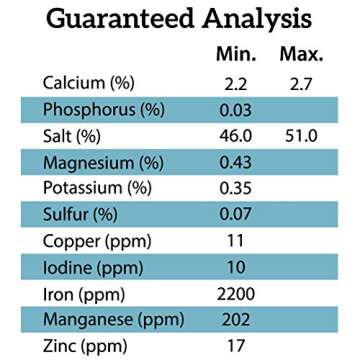 REDMOND Rein Water for Horses This Quencher 2oz Pack