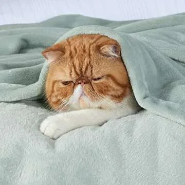 Bedsure Fleece Blanket Twin Size Sage Green - 300GSM Cozy Soft Warmth