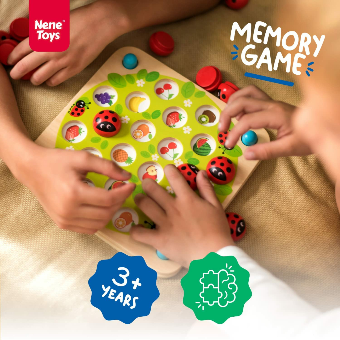 Ladybug’s Garden Memory Game for Kids - Fun & Educational