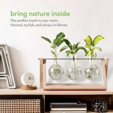 Light Up Bamboo Air Planter - Plant Lover Gifts for Women, Unique Easter Gift, Best Indoor Gardening Housewarming Office Home Decor, Mom, Grandma, Her, Sister, Friend, Birthday, Garden Terrarium