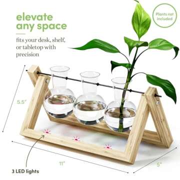 Light Up Bamboo Air Planter - Plant Lover Gifts for Women, Unique Easter Gift, Best Indoor Gardening Housewarming Office Home Decor, Mom, Grandma, Her, Sister, Friend, Birthday, Garden Terrarium