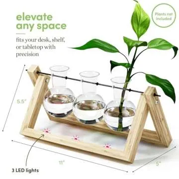 Light Up Bamboo Air Planter - Plant Lover Gifts for Women, Unique Easter Gift, Best Indoor Gardening Housewarming Office Home Decor, Mom, Grandma, Her, Sister, Friend, Birthday, Garden Terrarium