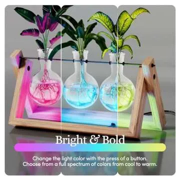 Light Up Bamboo Air Planter - Plant Lover Gifts for Women, Unique Easter Gift, Best Indoor Gardening Housewarming Office Home Decor, Mom, Grandma, Her, Sister, Friend, Birthday, Garden Terrarium