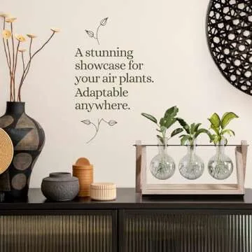 Light Up Bamboo Air Planter - Plant Lover Gifts for Women, Unique Easter Gift, Best Indoor Gardening Housewarming Office Home Decor, Mom, Grandma, Her, Sister, Friend, Birthday, Garden Terrarium