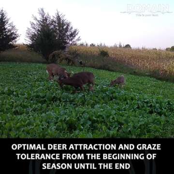 Domain Outdoor Show Stopper Food Plot Seeds for Deer, 1/2 Acre