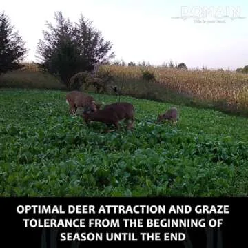 Domain Outdoor Show Stopper Food Plot Seeds for Deer, 1/2 Acre