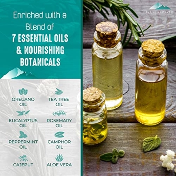 Purely Northwest Tea Tree Body Wash for Odor Relief