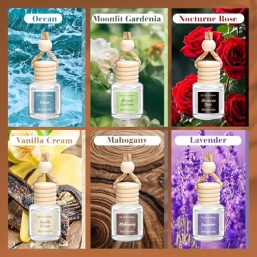 Vetuslumen Car Air Freshener 6 Pack - Perfect Valentine's Gift