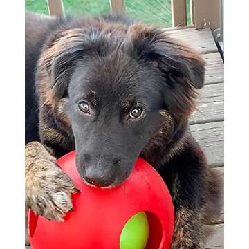 Jolly Pets Teaser Ball Dog Toy, Large/8 Inches, Red