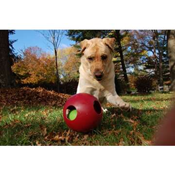Jolly Pets Teaser Ball Dog Toy, Large/8 Inches, Red