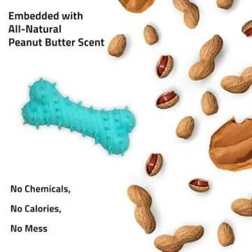 Playology Puppy Teething Bone Dog Toy for Young & Active Dogs | Engaging All-Natural Peanut Butter Scented Jumbo Sized Chew Toy with Squeaker for Puppies 50lbs & up