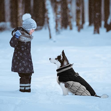 Lelepet Winter Coat for Dogs - Warm & Reflective