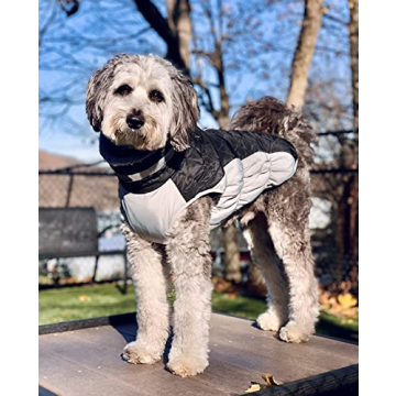 Lelepet Winter Coat for Dogs - Warm & Reflective