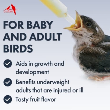 Morning Bird Baby Bird Food for Growth and Healing