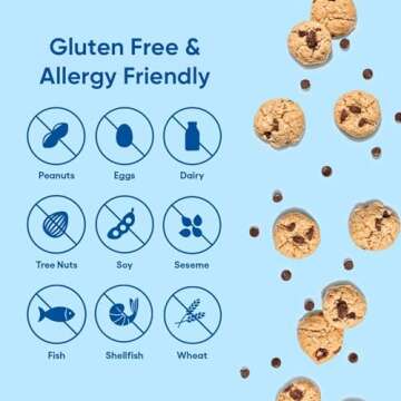 Gluten Free Mini Snack Pack with Chocolate Chip & Graham Crackers