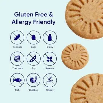 Gluten Free Mini Snack Pack with Chocolate Chip & Graham Crackers
