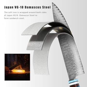 Professional Japanese VG10 Damascus Steel Chef Knife 8 Inch