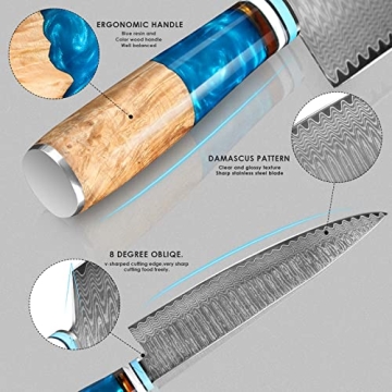 Professional Japanese VG10 Damascus Steel Chef Knife 8 Inch